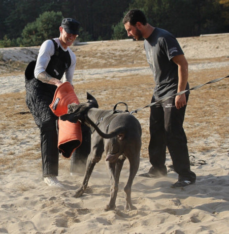 Full Leg Bite Sleeve