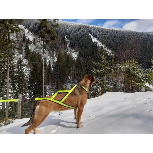 Canicross Black Running Harness