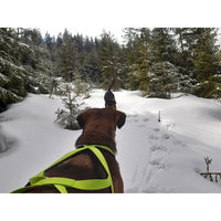 Thumbnail for Canicross Black Running Harness
