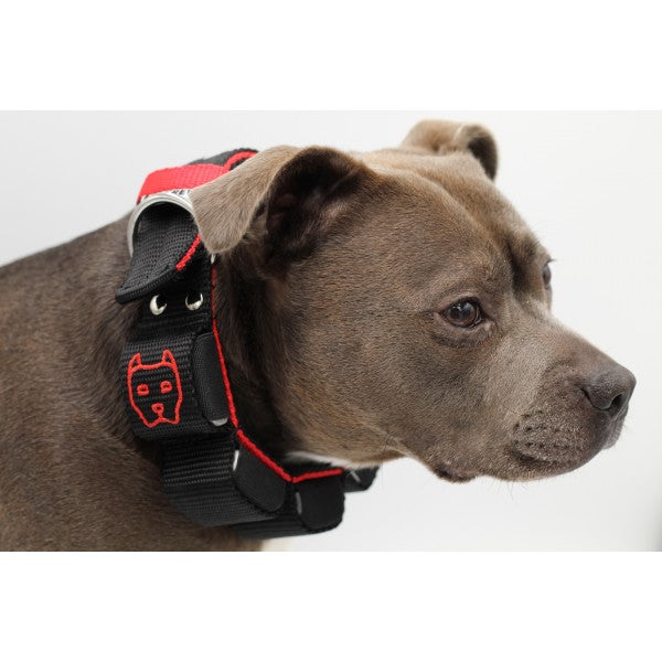 Bullyverse Weight Collar Black/Red