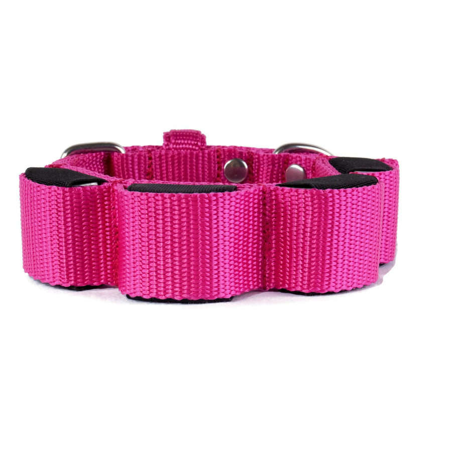 Maxi Weight Collar – Fuschia