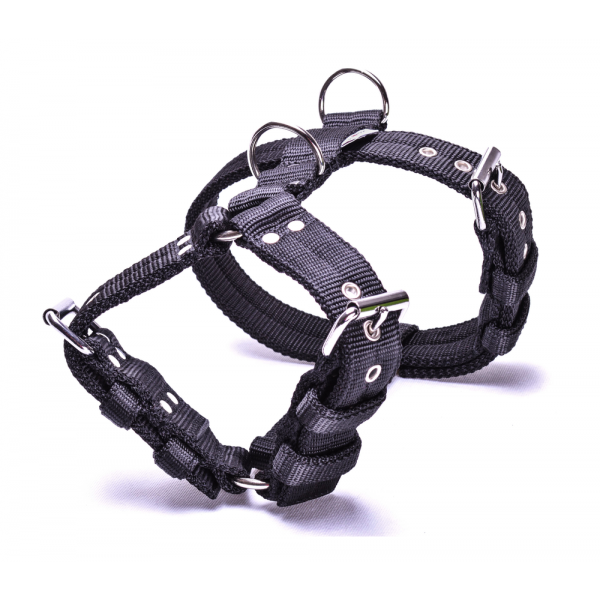 4cm Black Triple Harness