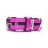 Maxi Comfort Strip Collar – Fuschia
