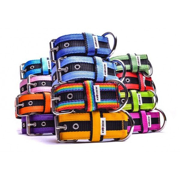 5cm Orange Juicy Strip Collar