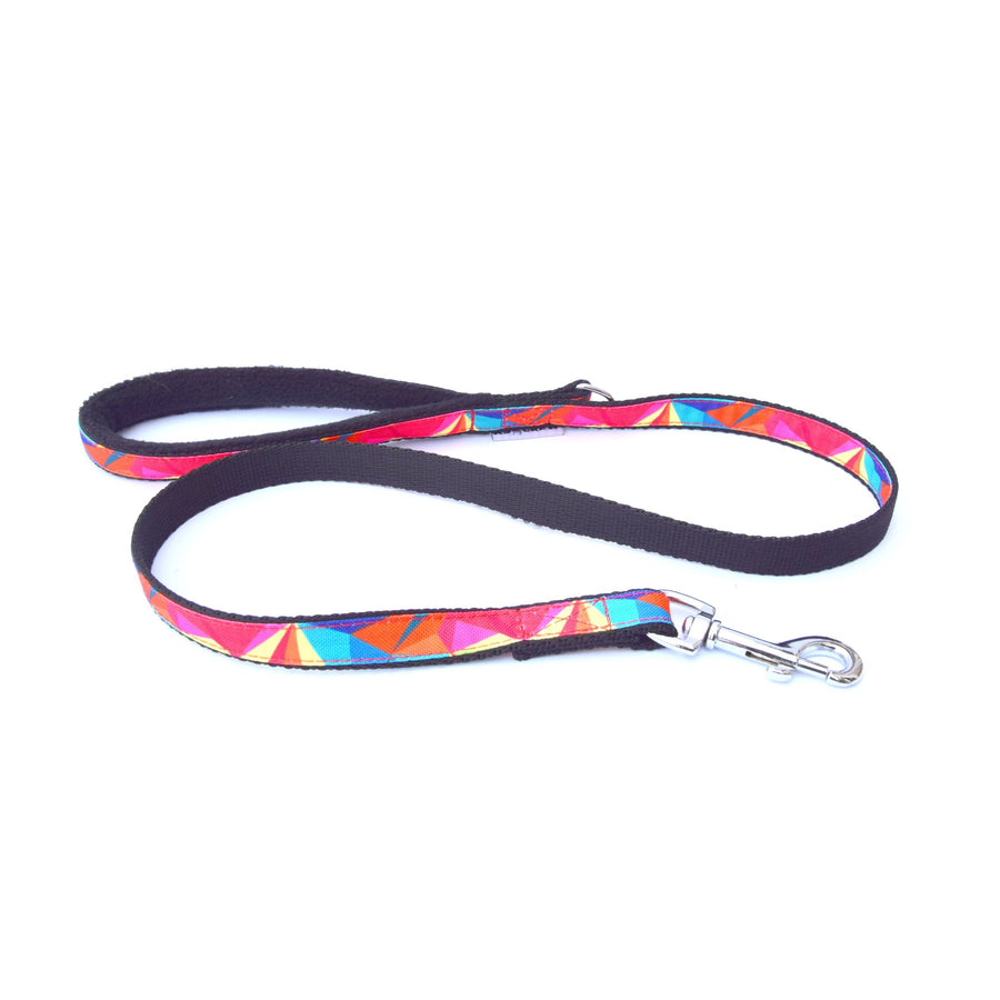 K9 Crew 2.5cm Rainbow Walking Lead-110cm