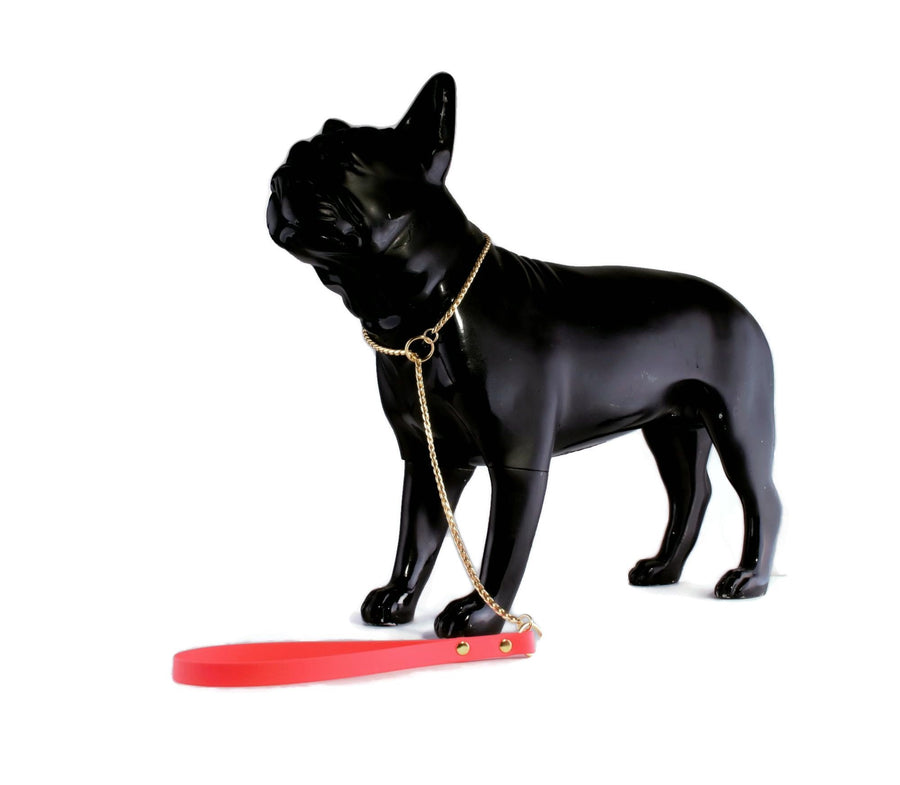 Gold Snake Show Lead Neon Pink