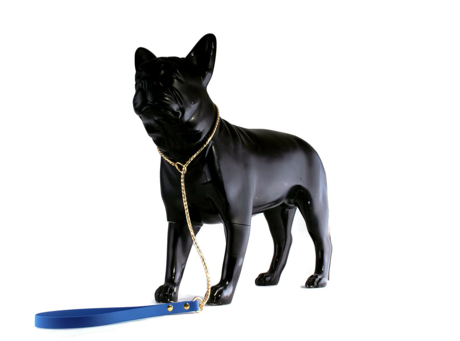 Gold Snake Show Lead Blue