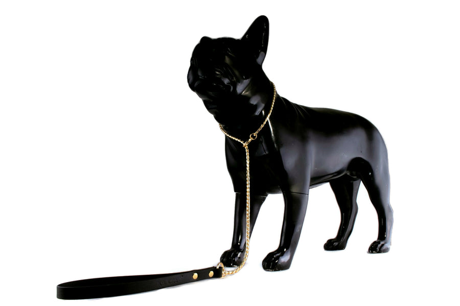 Gold Snake Show Lead Neon Pink