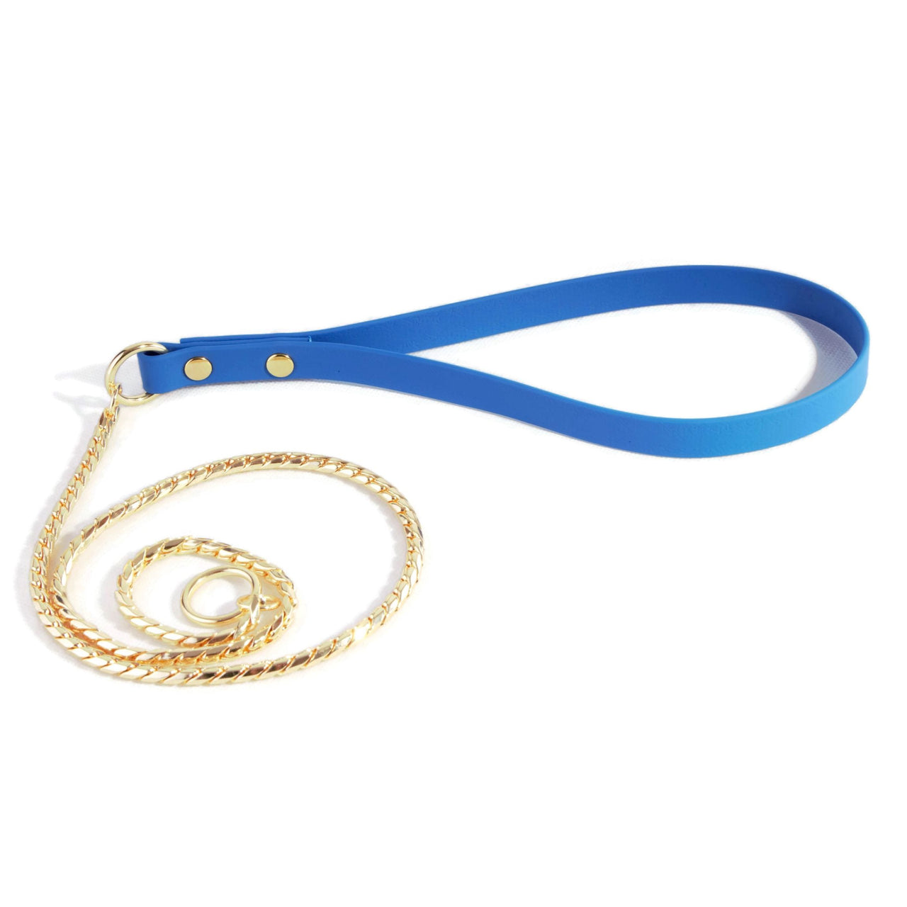 Gold Snake Show Lead Blue