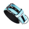 Maxi Strip Collar – Turquoise