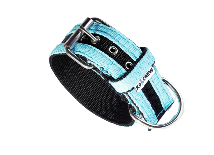 Mega Strip Collar – Turquoise