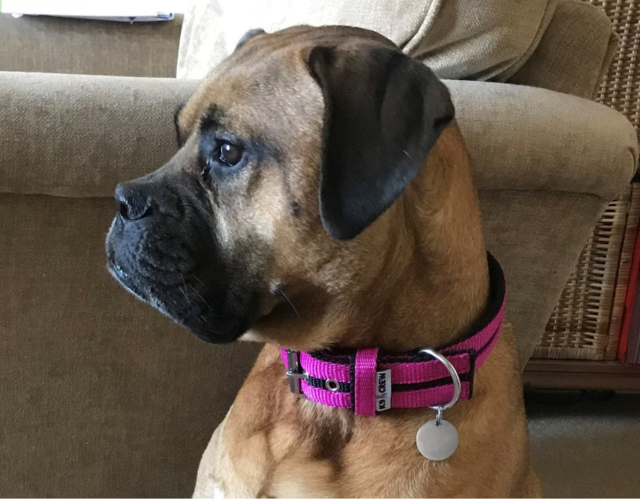 Maxi Comfort Strip Collar – Fuschia