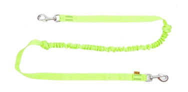 Bungee Leads with 2 Hooks