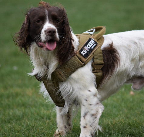 K9 CREW GT Cobra  Coyote Harness