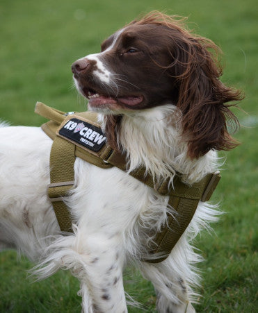 K9 CREW Cobra Coyote Harness-0