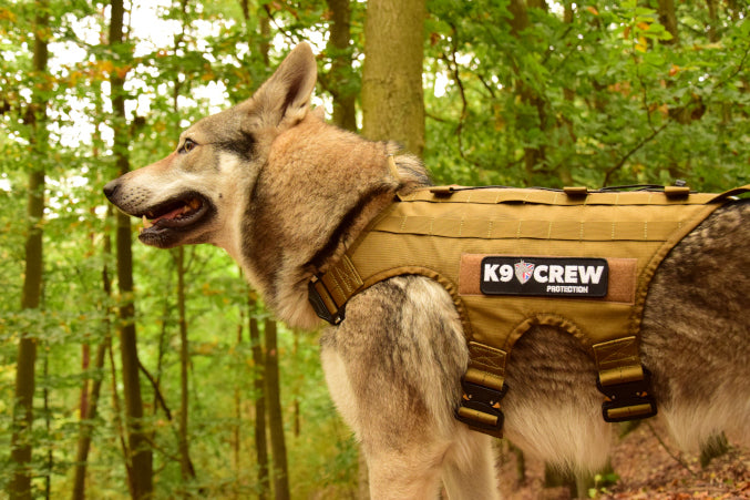 K9 CREW Molle Tactical Coyote Harness