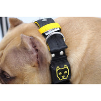 Thumbnail for Bullyverse Weight Collar Black/Red