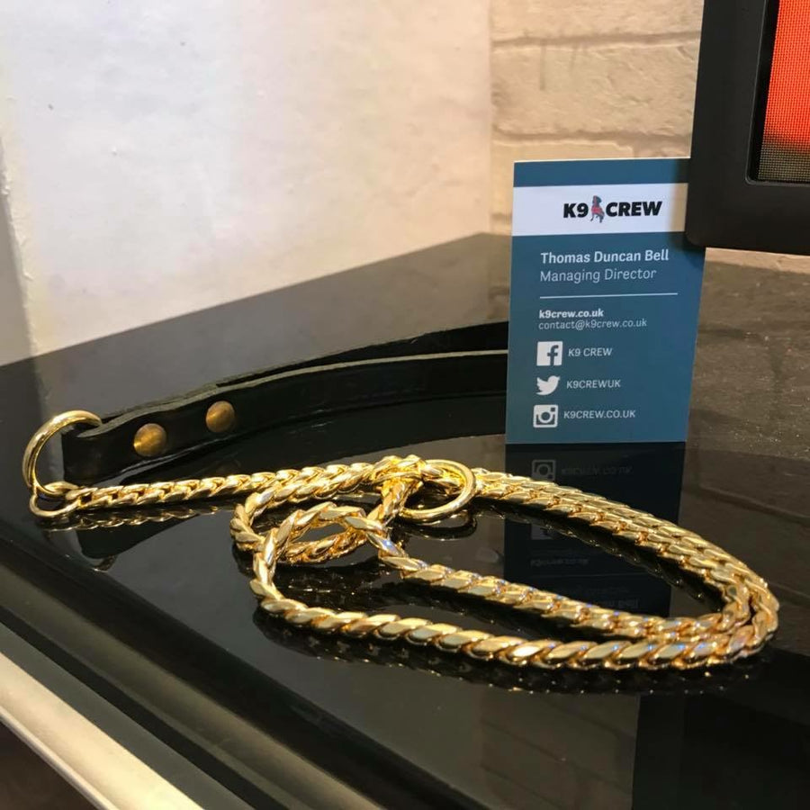 Gold Snake Show Lead