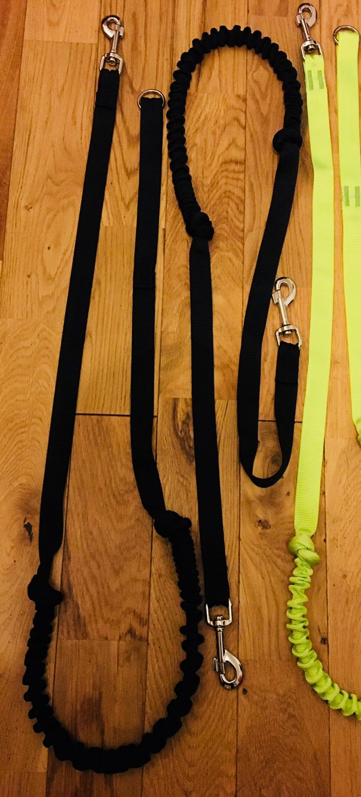 Bungee Leads with 2 Hooks