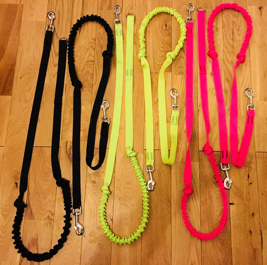 Bungee Leads with 2 Hooks