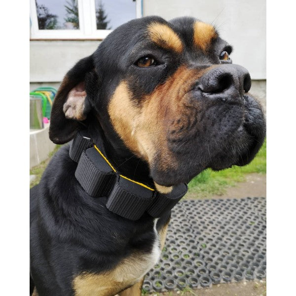 Maxi Weight Collar Black