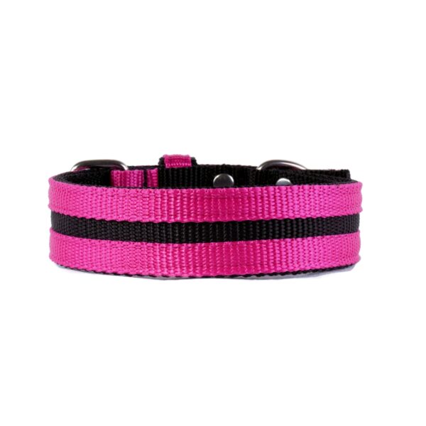 Mega Strip Collar – Fuschia