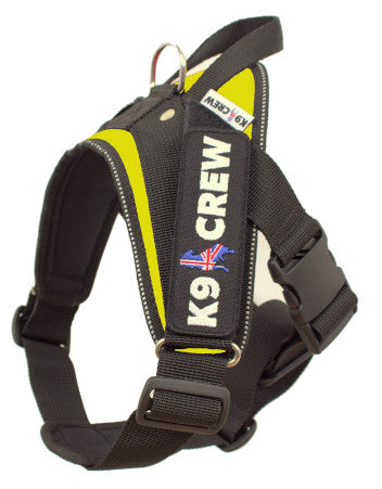 K9 CREW Neon Harness