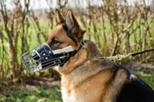 Police muzzle hot sale