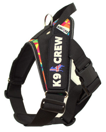 K9 CREW Rainbow Harness