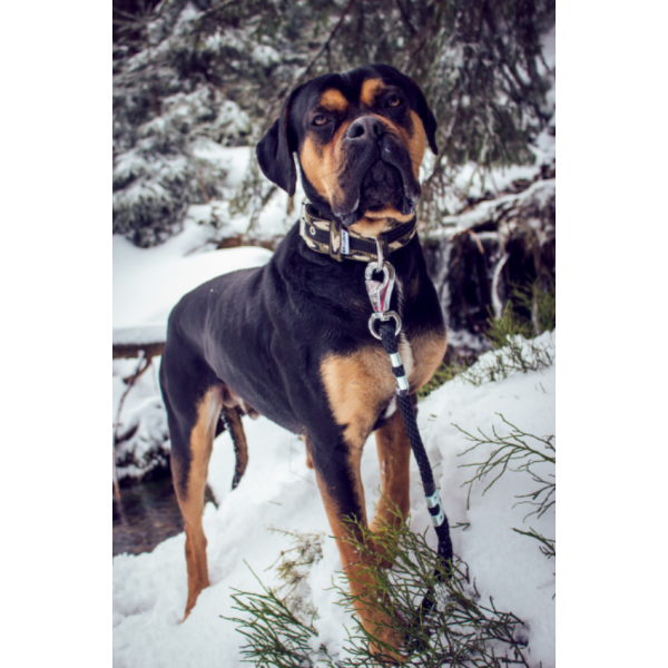 Rope Lead 180cm – Black